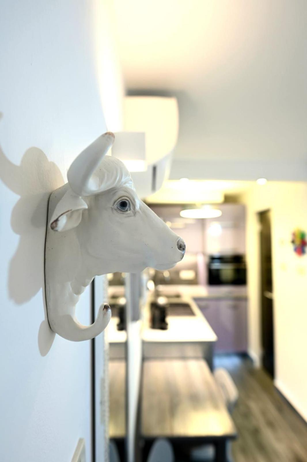 Apartmán Bel-art